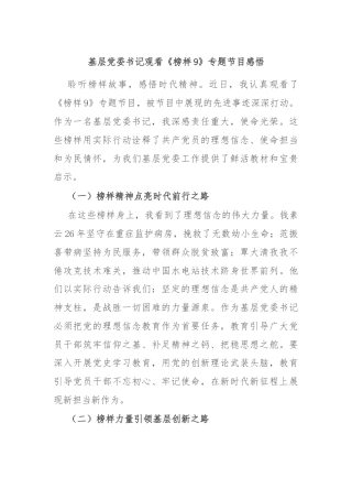 基层党委书记观看《榜样9》专题节目感悟