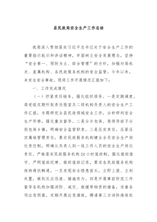 县民政局安全生产工作总结