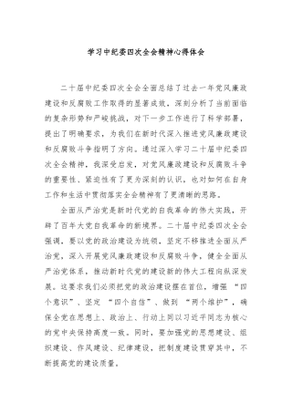 学习中纪委四次全会精神心得体会