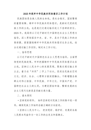 2025年筑牢中华民族共同体意识工作计划