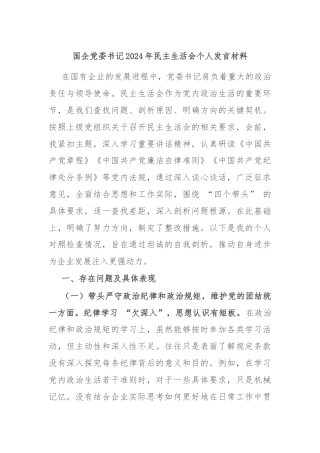 国企党委书记2024年民主生活会个人发言材料