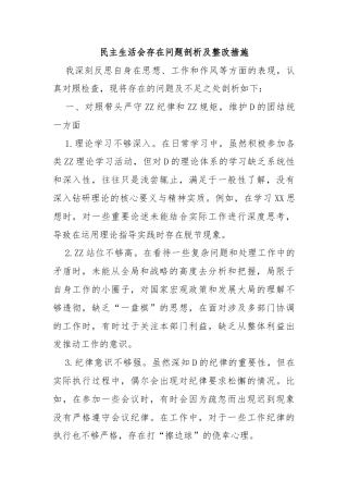 民主生活会存在问题剖析及整改措施