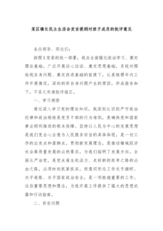 某区镇长民主生活会发言提纲对班子成员的批评意见