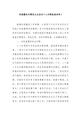 巡视整改专题民主生活会个人对照检查材料1