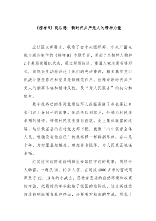 《榜样9》观后感：新时代共产党人的精神力量