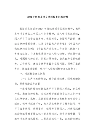2024年组织生活会对照检查剖析材料