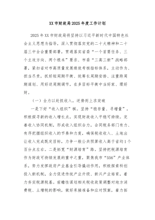 XX市财政局2025年度工作计划