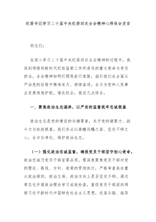 纪委书记学习二十届中央纪委四次全会精神心得体会发言