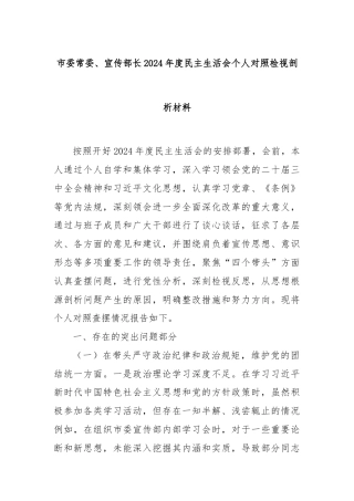 市委常委、宣传部长2024年度民主生活会个人对照检视剖析材料