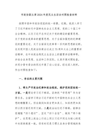 市政协副主席2024年度民主生活会对照检查材料