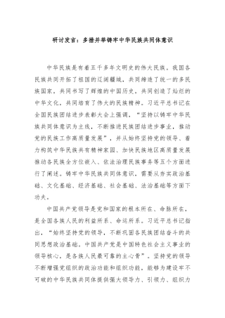 研讨发言：多措并举铸牢中华民族共同体意识