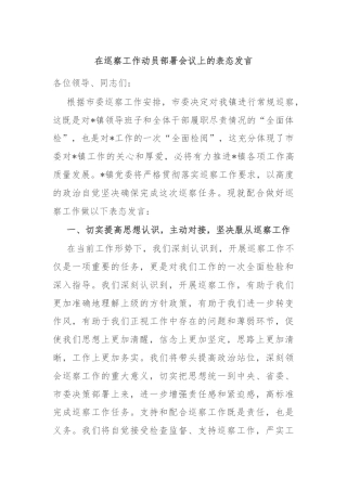 在巡察工作动员部署会议上的表态发言