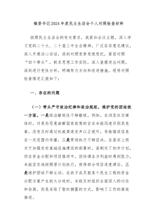 镇委书记2024年度民主生活会个人对照检查材料