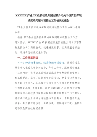 国有企业关于投资担保领域腐败问题专项整治工作情况的报告