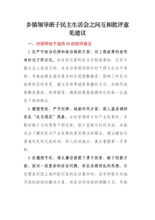 乡镇领导班子民主生活会之间互相批评意见建议