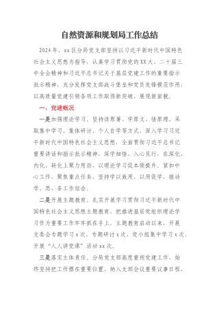 自然资源和规划局工作总结