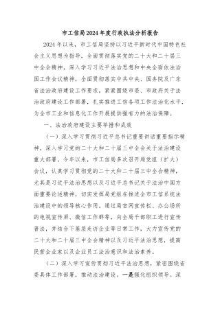 市工信局2024年度行政执法分析报告