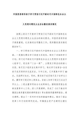 市国资委领导班子学习贯彻习近平新时代中国特色社会主义思想专题民主生活会整改落实情况