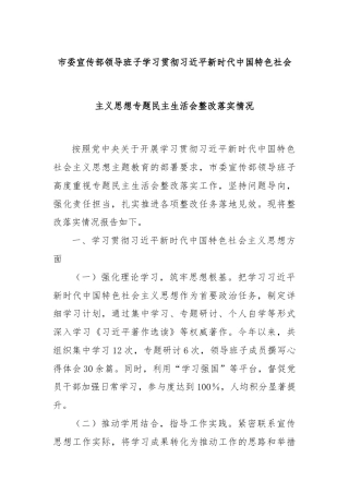 市委宣传部领导班子学习贯彻习近平新时代中国特色社会主义思想专题民主生活会整改落实情况