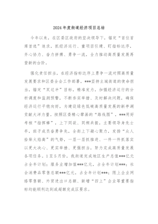 2024年度街道经济项目总结