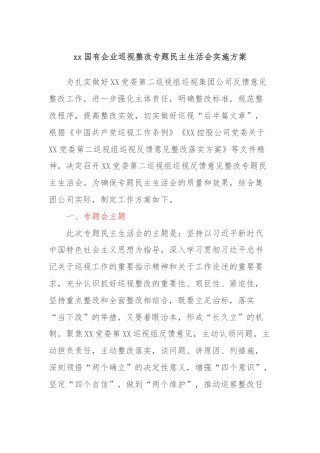 xx国有企业巡视整改专题民主生活会实施方案