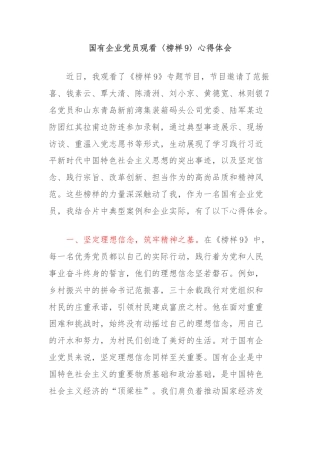 国有企业党员观看〈榜样9〉心得体会