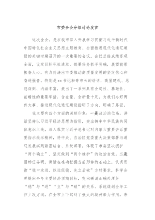 市委全会分组讨论发言