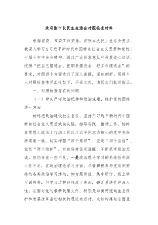 政府副市长民主生活会对照检查材料