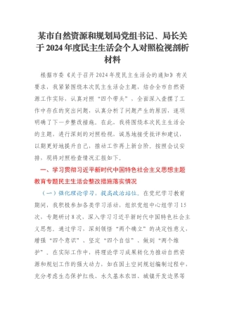某市自然资源和规划局党组书记、局长关于2024年度民主生活会个人对照检视剖析材料