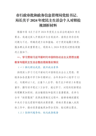 市行政审批和政务信息管理局党组书记、局长关于2024年度民主生活会个人对照检视剖析材料