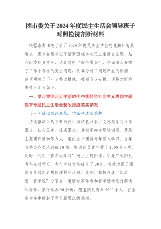 团市委关于2024年度民主生活会领导班子对照检视剖析材料