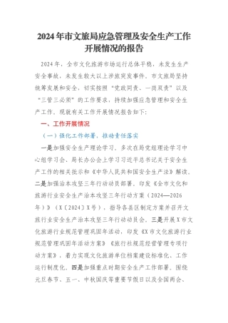 2024年市文旅局应急管理及安全生产工作开展情况的报告