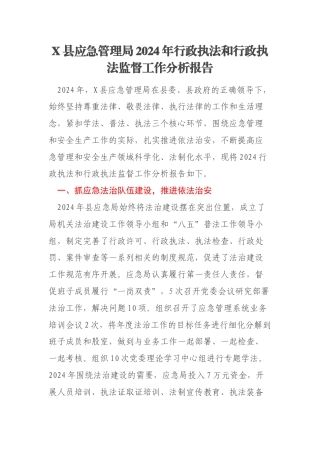 X县应急管理局2024年行政执法和行政执法监督工作分析报告