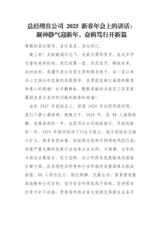 总经理在公司 2025 新春年会上的讲话：凝神静气迎新年，奋楫笃行开新篇