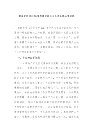 某局党组书记2024年度专题民主生活会照检查材料