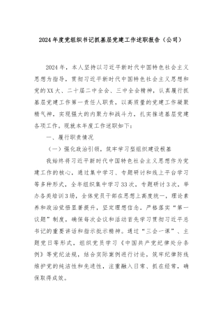 2024年度党组织书记抓基层党建工作述职报告（公司）