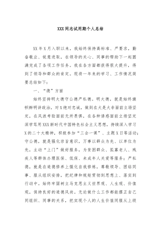 XXX同志试用期个人总结