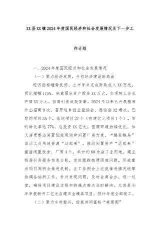 XX县XX镇2024年度国民经济和社会发展情况及下一步工作计划