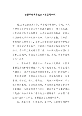 挂职干部表态发言（挂职副市长）