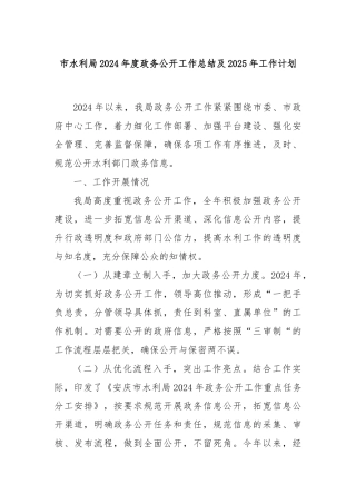 市水利局2024年度政务公开工作总结及2025年工作计划