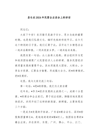 县长在2024年民营企业谈会上的讲话