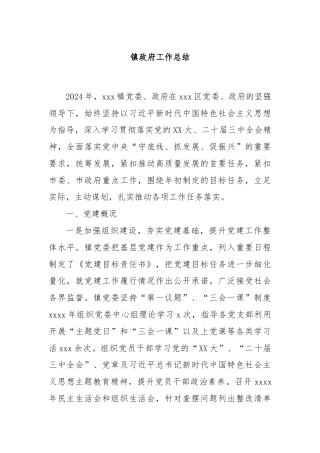 镇政府工作总结