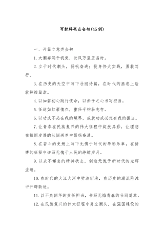 (45例)写材料亮点金句