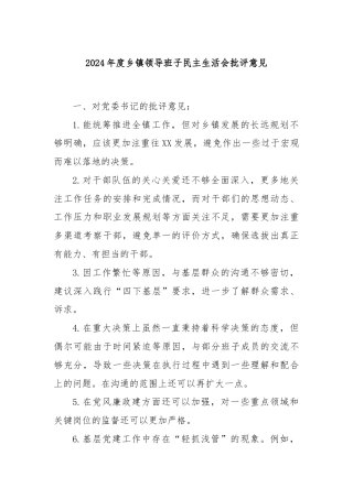 2024年度乡镇领导班子民主生活会批评意见