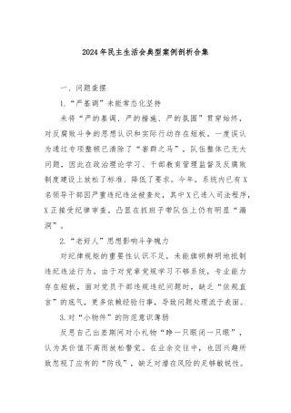 2024年民主生活会典型案例剖析合集