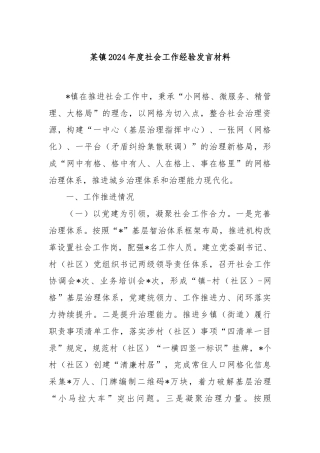 某镇2024年度社会工作经验发言材料
