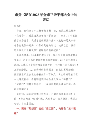 市委书记在2025年全市三级干部大会上的讲话