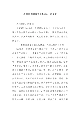 在2025年组织工作务虚会上的发言