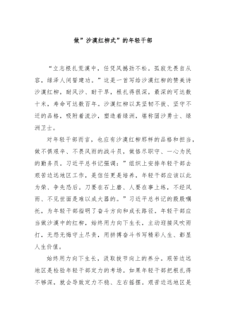 做”沙漠红柳式”的年轻干部