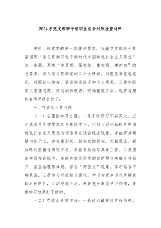 2024年党支部班子组织生活会对照检查材料